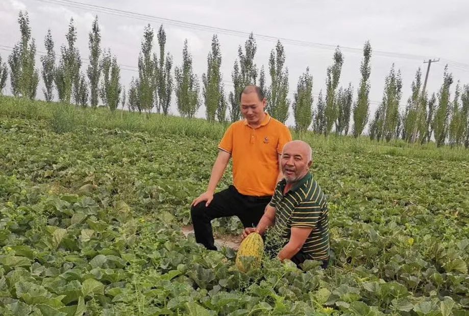 愛心鷹牌 | 萬里援疆，鷹牌助力新疆塔然其村沖刺脫貧(圖4)