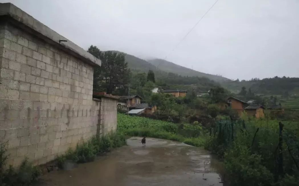 愛心鷹牌 | 鷹牌三進涼山，脫貧攻堅我們一直在行動(圖11)