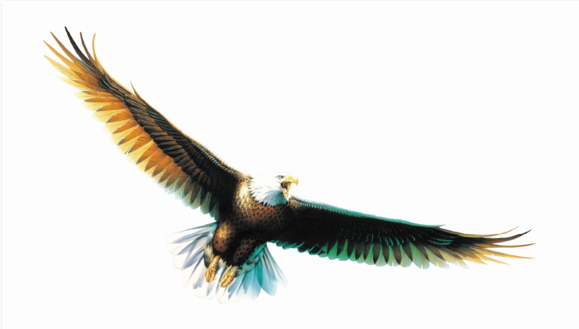 投票啦!誠邀您為鷹牌陶瓷新總部展廳設(shè)計方案投一票(圖2) 投票啦!誠邀您為鷹牌陶瓷新總部展廳設(shè)計方案投一票(圖2)