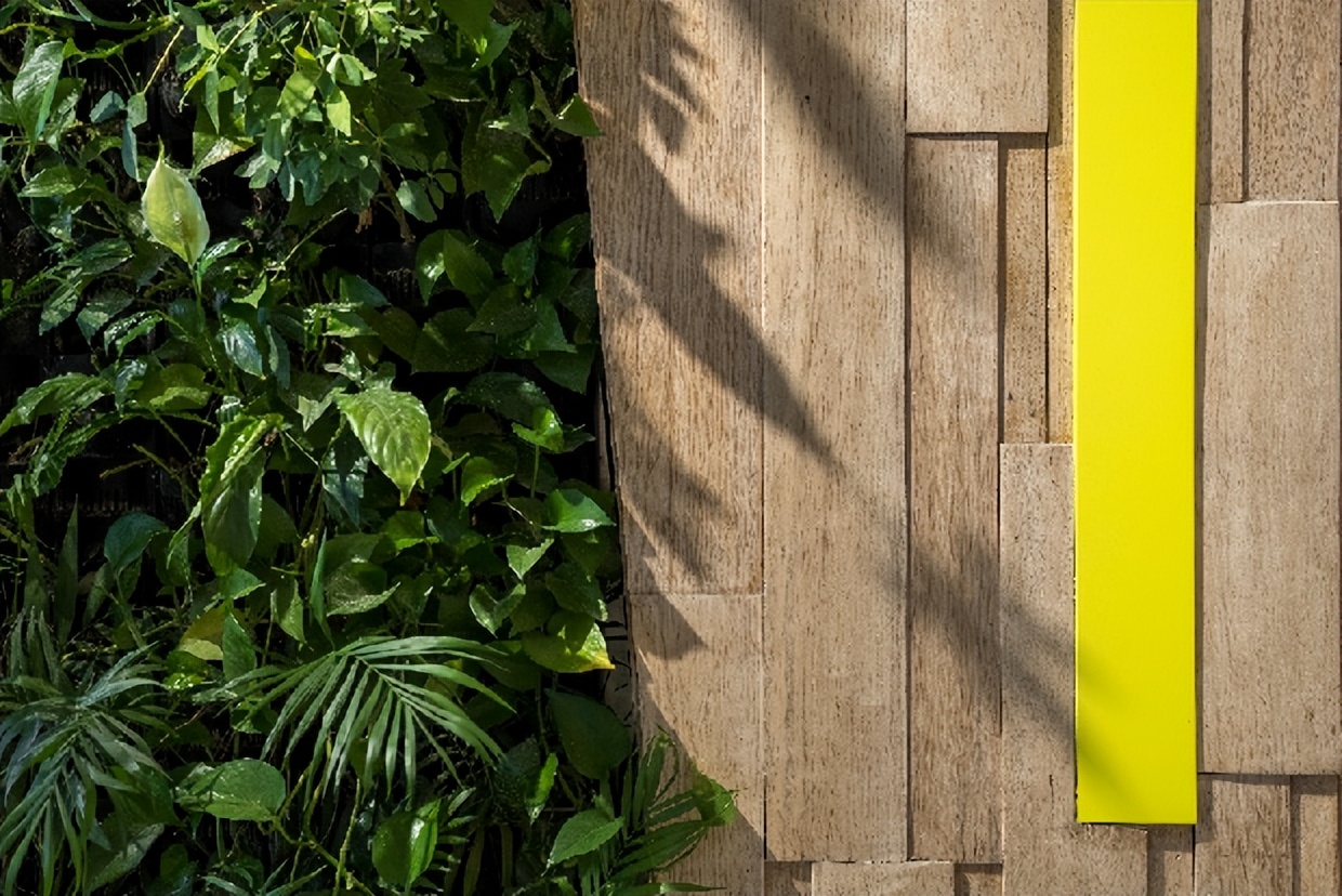 40 UNDER 40 | 一路見證，溫州榜啟動禮8月7日即將啟幕！(圖11)