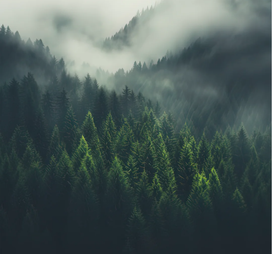 新品上市｜鯨MAX系列900x1800mm——感受自然韻律，營造沉浸式松弛空間(圖1)