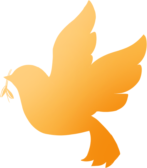 "芳華五十、筑夢百年" ——鷹牌集團五十周年青春音樂會圓滿舉行！(圖13)